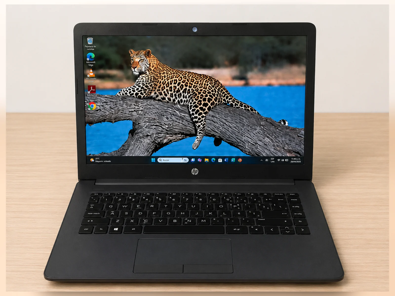 HP